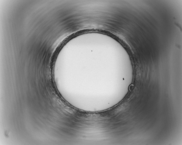 X0000102310927200808152037