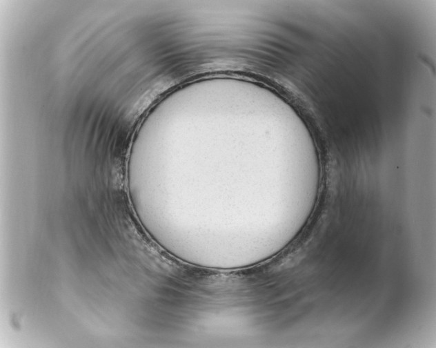X0000102310929200808152037