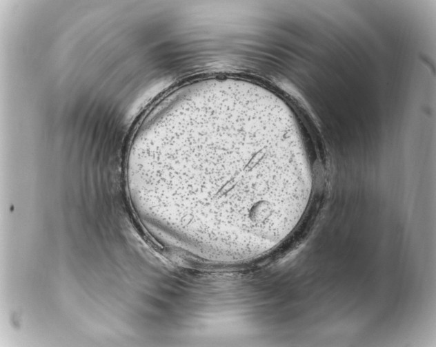 X0000102310930200808152037