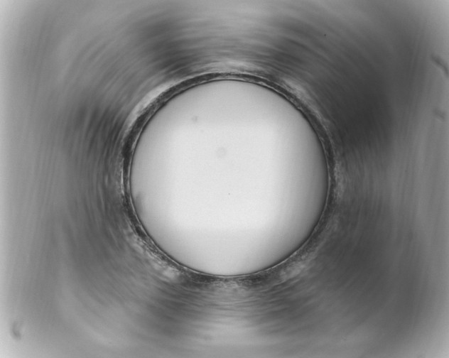 X0000102310931200808152038