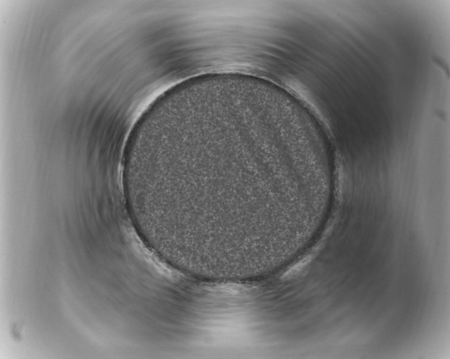 X0000102310932200808152038