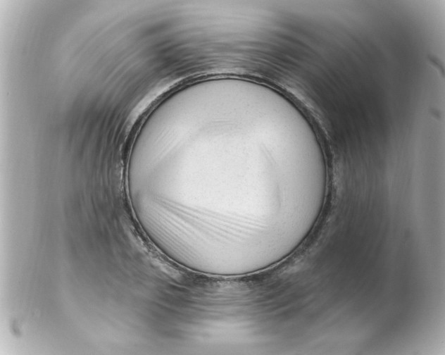 X0000102310933200808152038