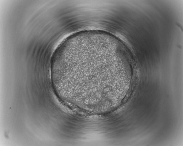 X0000102310934200808152038