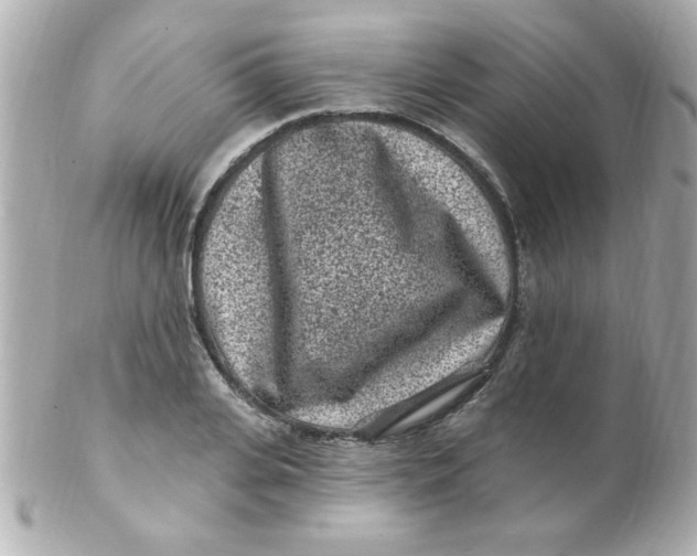 X0000102310935200808152038