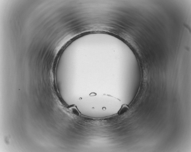 X0000102310936200808152038