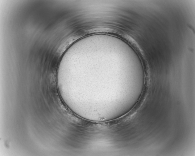 X0000102310937200808152038
