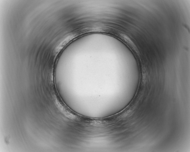 X0000102310938200808152038