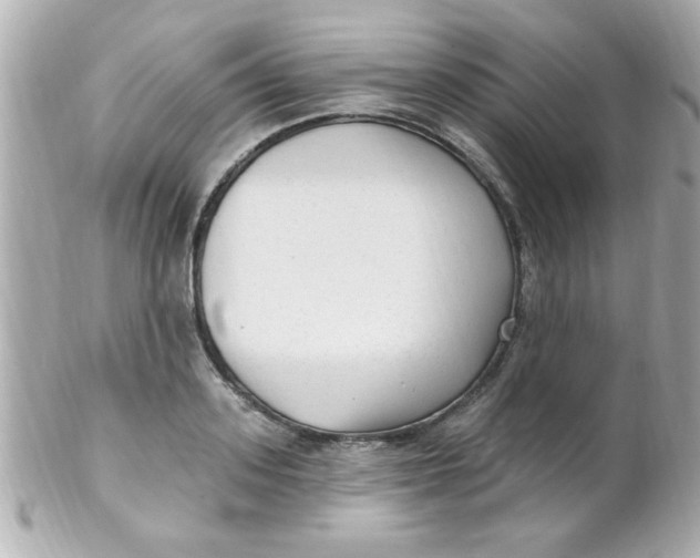 X0000102310939200808152038