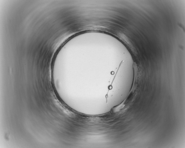 X0000102310940200808152038