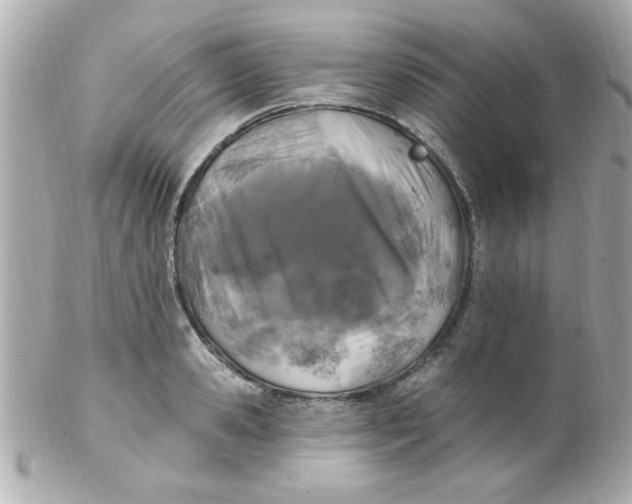 X0000102310941200808152038