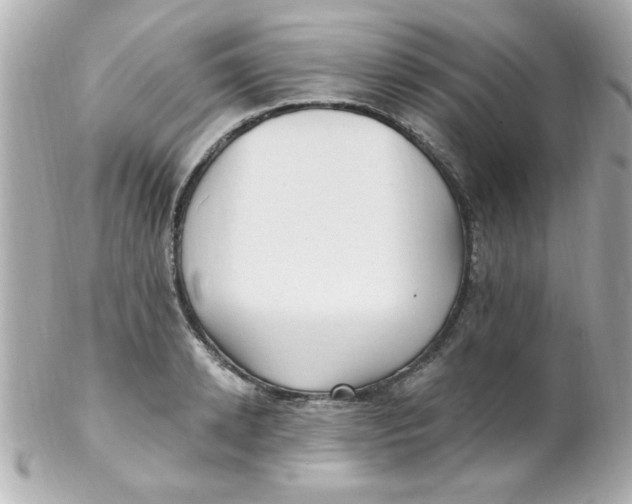 X0000102310942200808152038