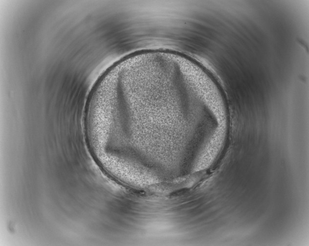 X0000102310943200808152038