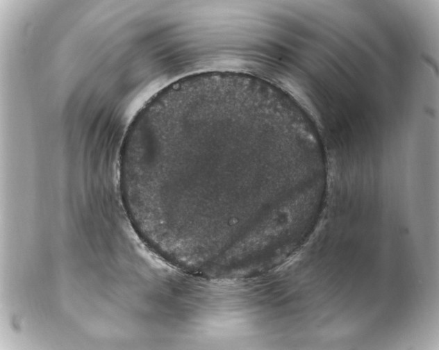 X0000102310944200808152038