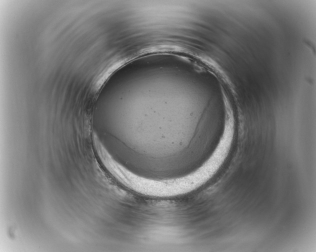 X0000102310945200808152038