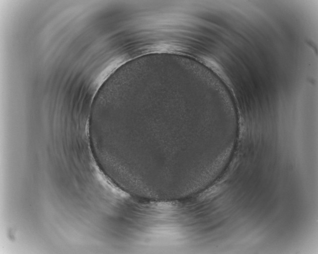 X0000102310946200808152038