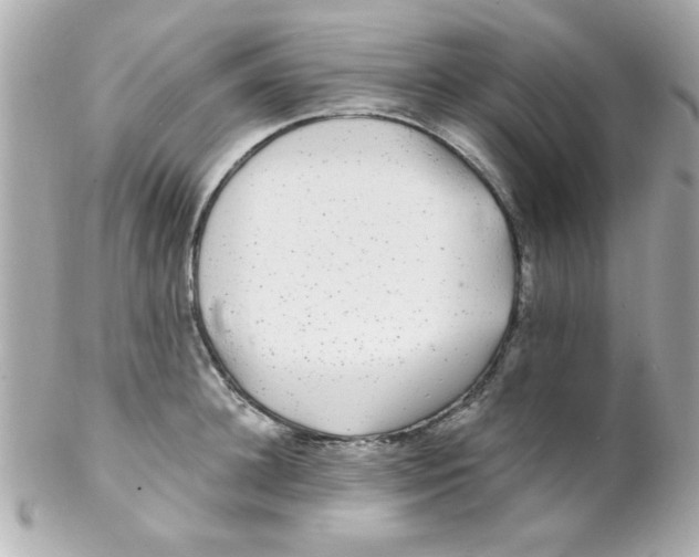 X0000102310948200808152038