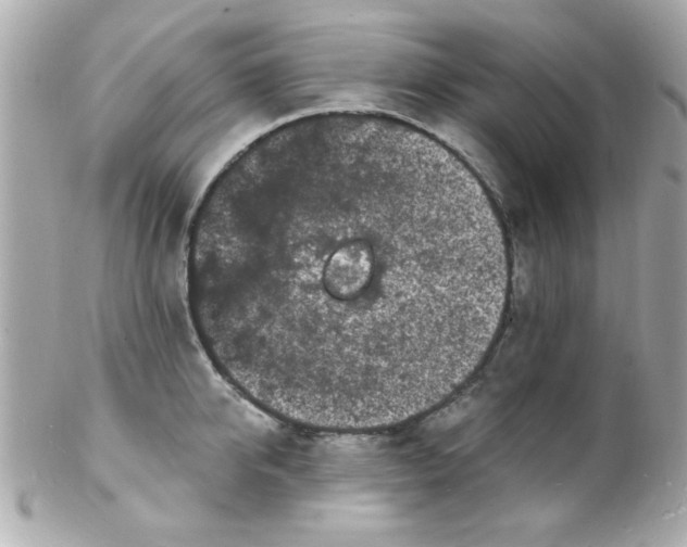 X0000102310950200808152038