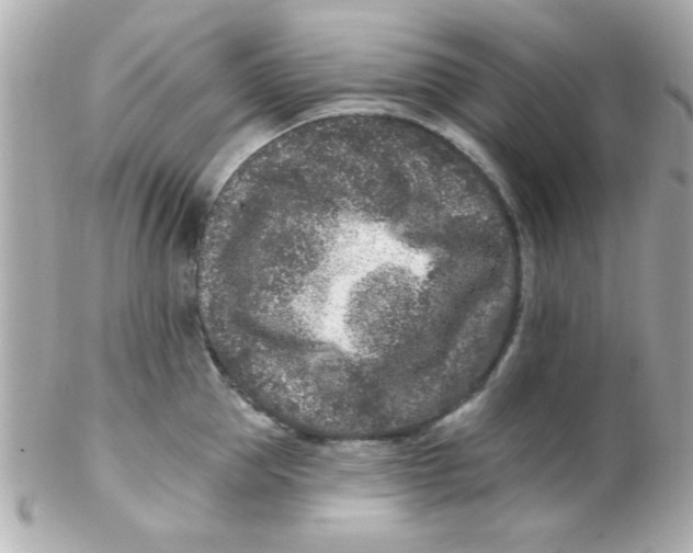 X0000102310953200808152038