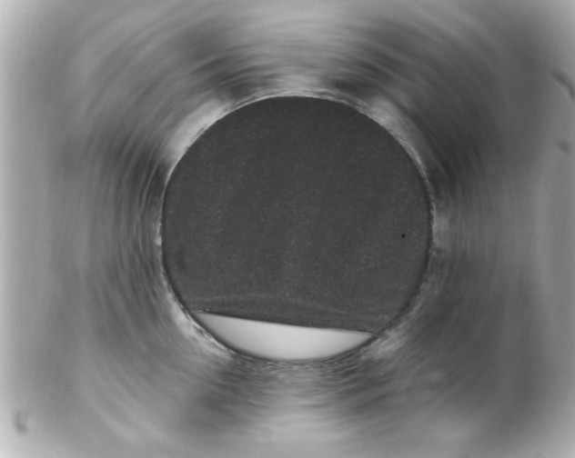 X0000102310954200808152038