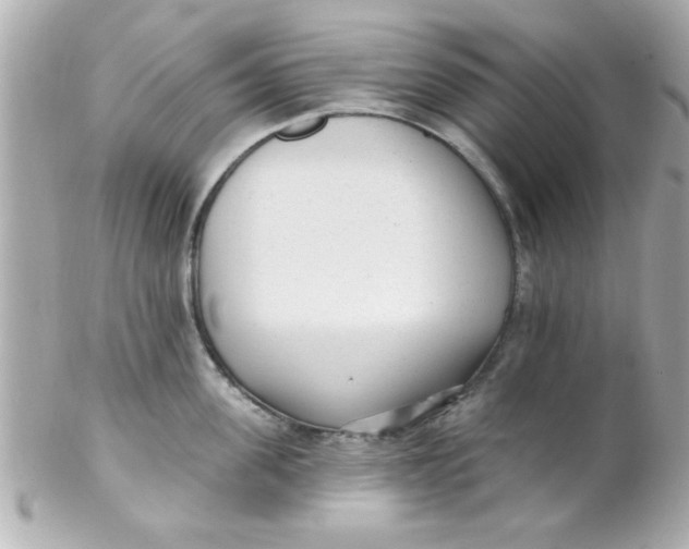 X0000102310955200808152038