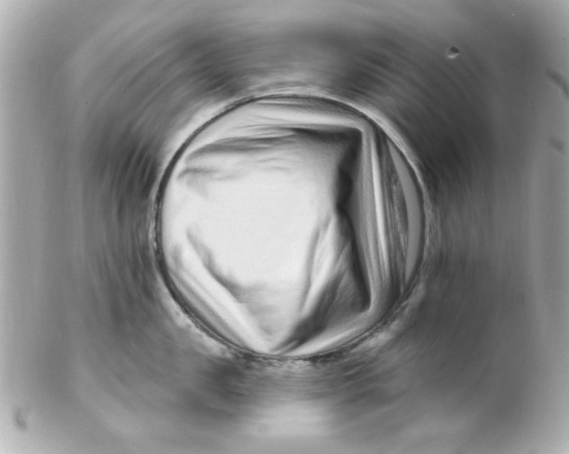 X0000102310957200808152038