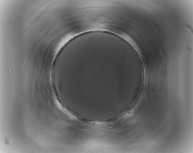 X0000102310958200808152038