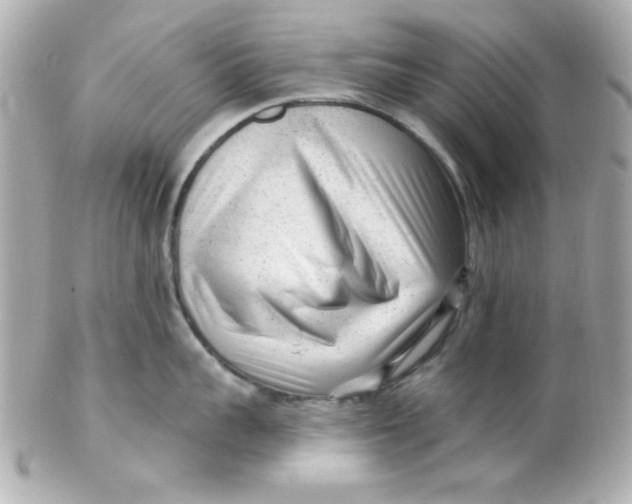 X0000102310959200808152038