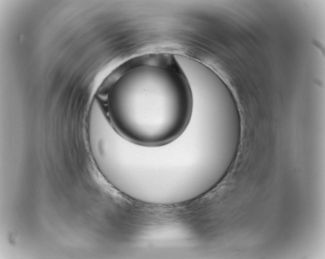 X0000102310960200808152038