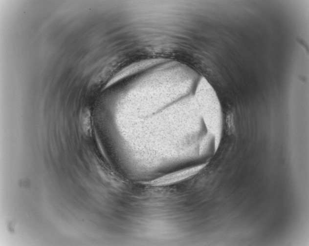 X0000102310963200808152037