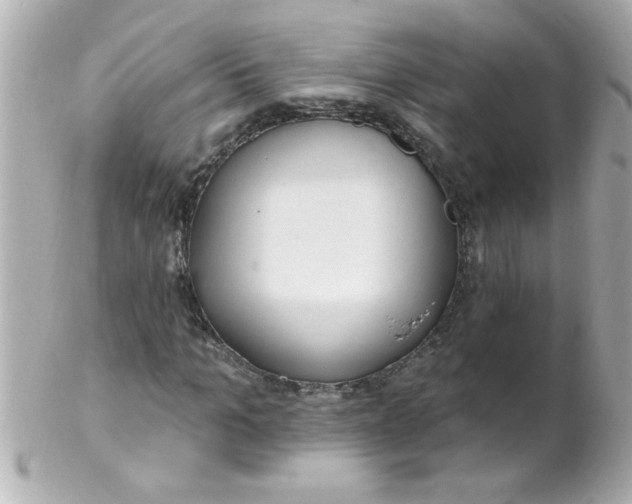 X0000102310965200808152037