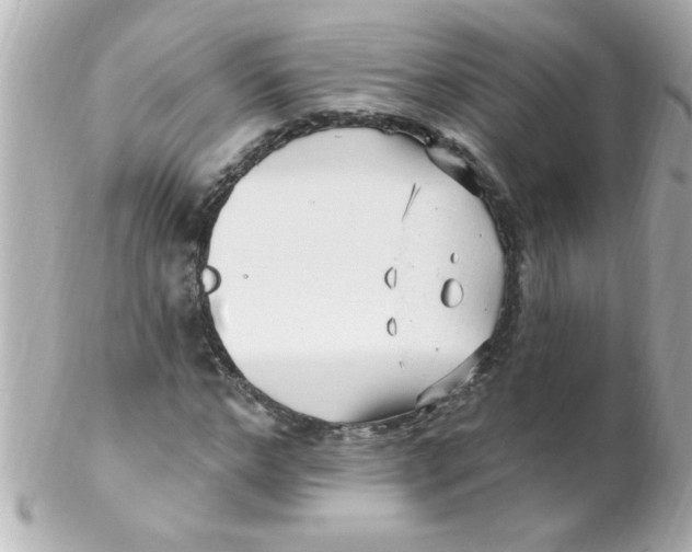 X0000102310968200808152037