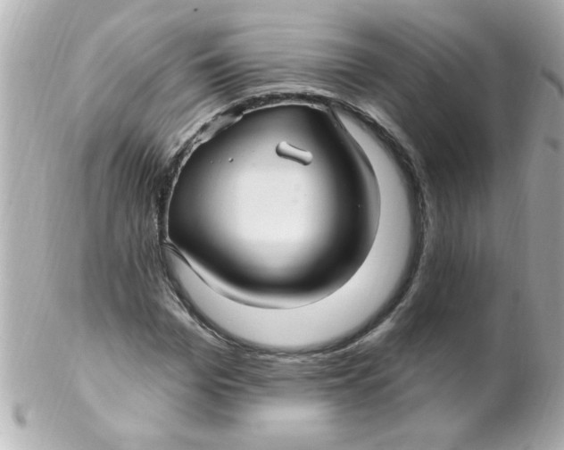 X0000102310969200808152037