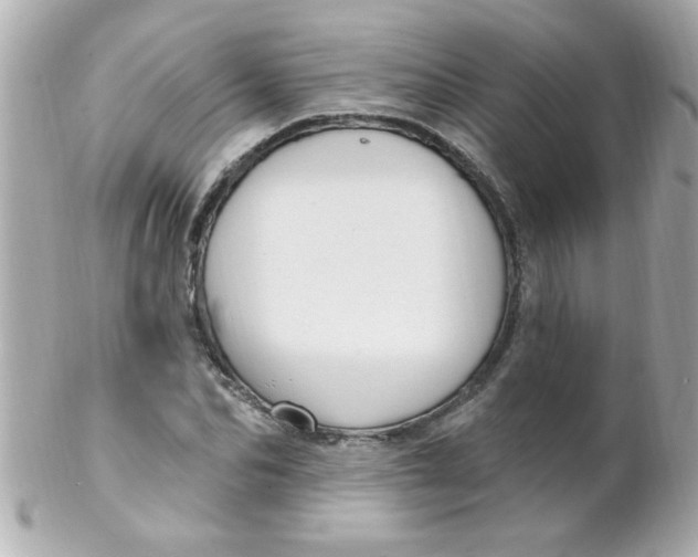 X0000102310974200808152037