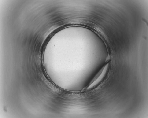 X0000102310976200808152037