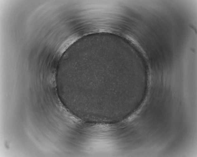 X0000102310977200808152037