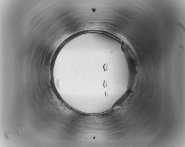 X0000102310980200808152037
