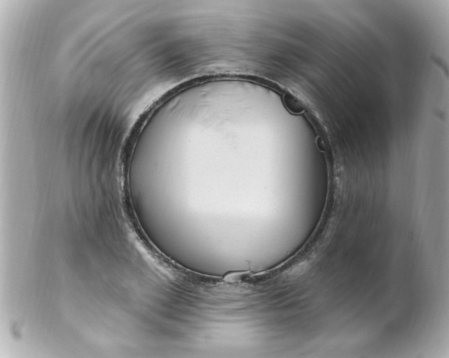 X0000102310981200808152037