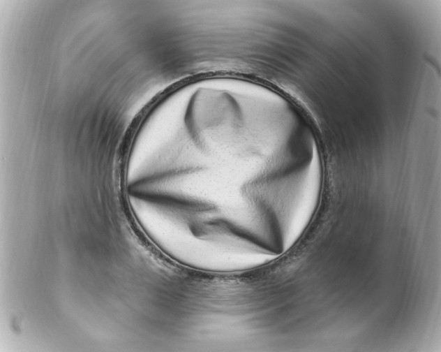 X0000102310983200808152037