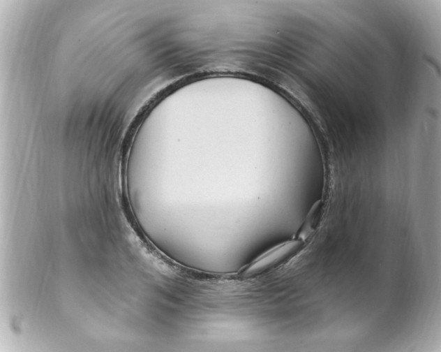 X0000102310984200808152037