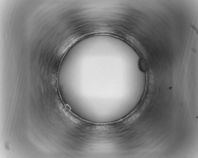 X0000102310985200808152037