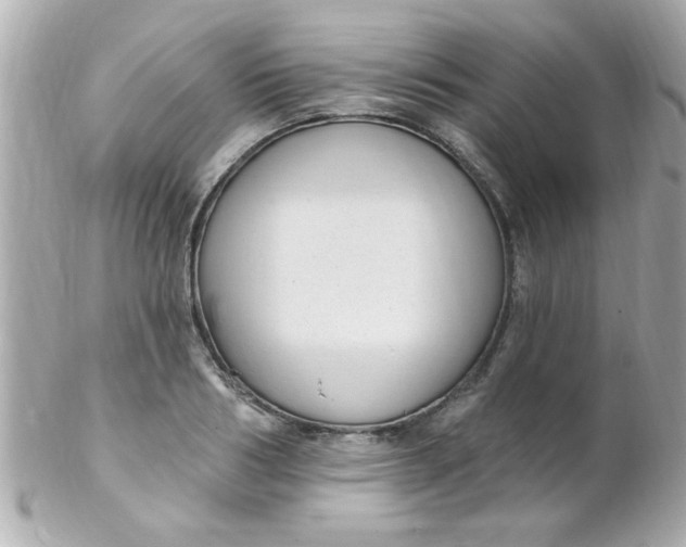 X0000102310986200808152037