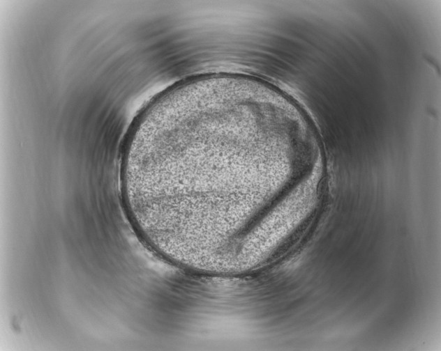 X0000102310987200808152037