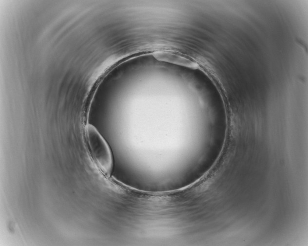 X0000102310989200808152037