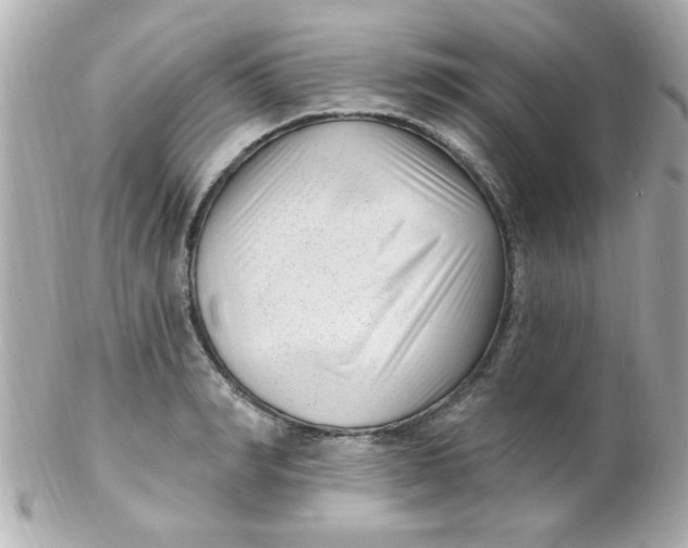 X0000102310990200808152037