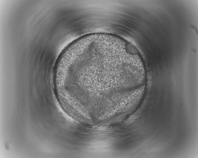 X0000102310991200808152037