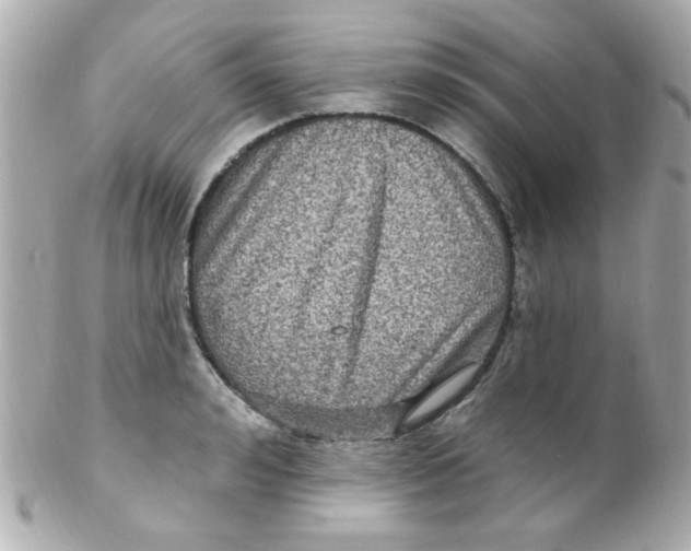 X0000102310992200808152037