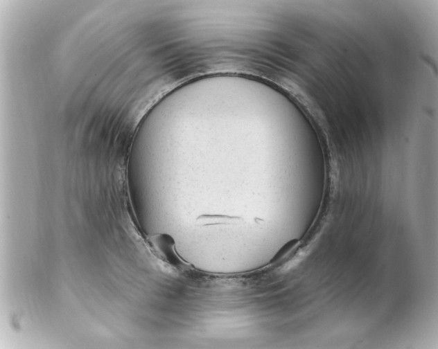 X0000102310993200808152037
