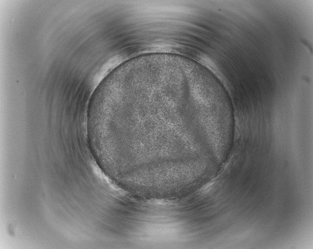 X0000102310994200808152037