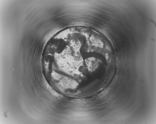 X0000102310995200808152037