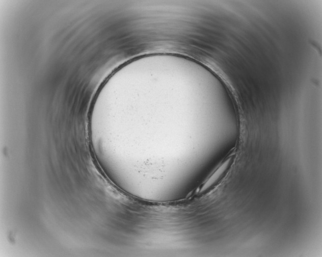 X0000102310996200808152037